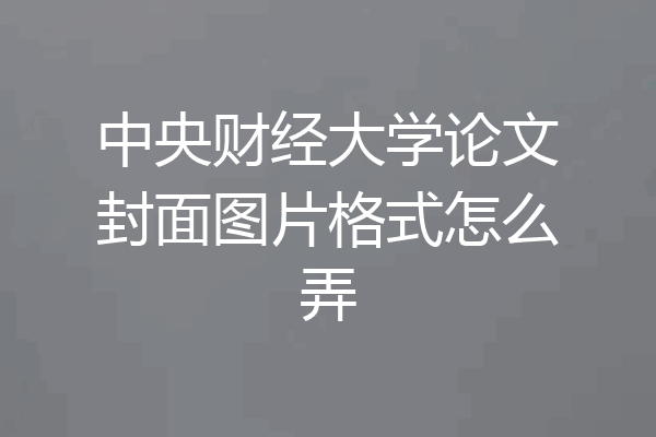 中央财经大学论文封面图片格式怎么弄