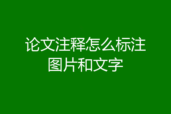 论文注释怎么标注图片和文字