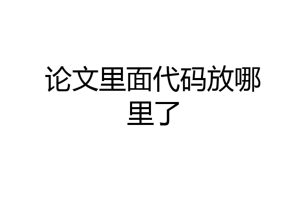 论文里面代码放哪里了