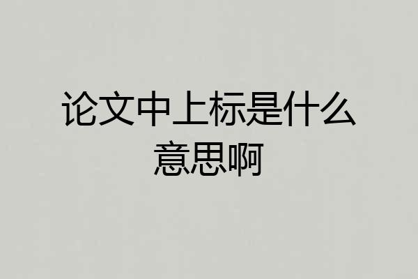 论文中上标是什么意思啊