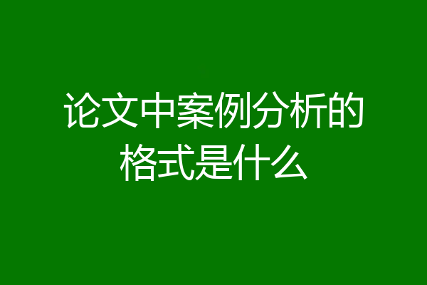 论文中案例分析的格式是什么