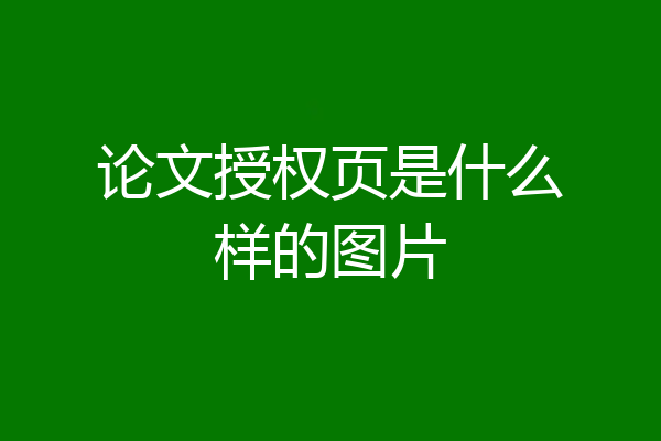 论文授权页是什么样的图片