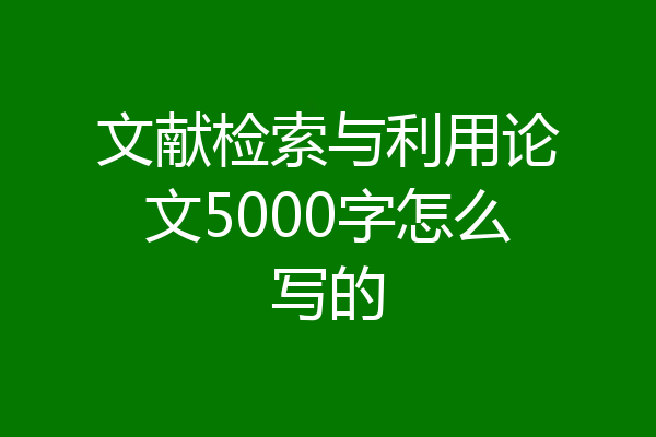 文献检索与利用论文5000字怎么写的