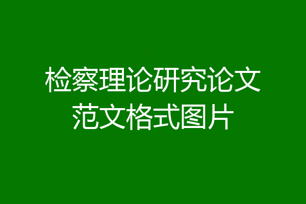 检察理论研究论文范文格式图片