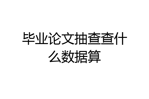 毕业论文抽查查什么数据算