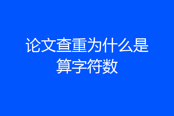 论文查重为什么是算字符数
