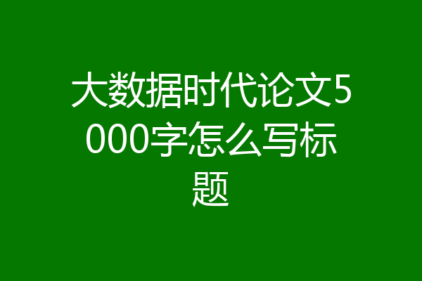 大数据时代论文5000字怎么写标题