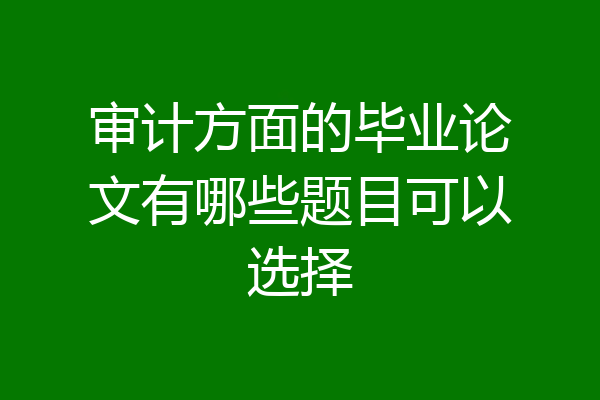审计方面的毕业论文有哪些题目可以选择