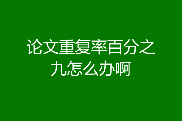 论文重复率百分之九怎么办啊
