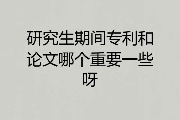 研究生期间专利和论文哪个重要一些呀