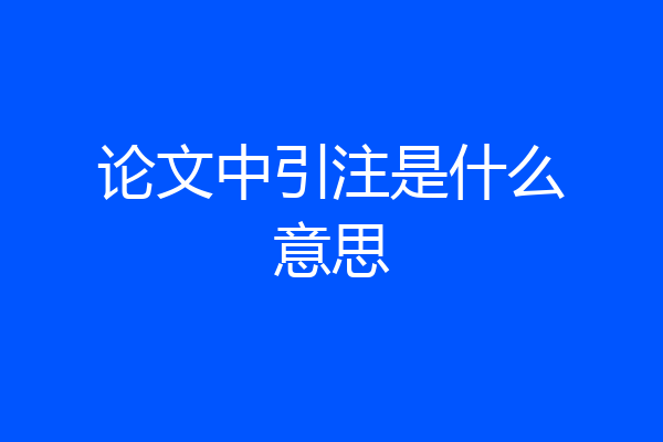 论文中引注是什么意思