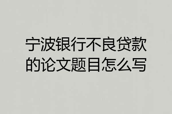 宁波银行不良贷款的论文题目怎么写
