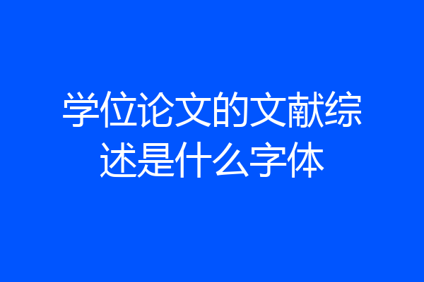 学位论文的文献综述是什么字体