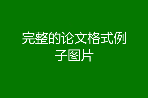 完整的论文格式例子图片