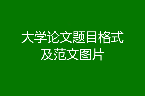 大学论文题目格式及范文图片