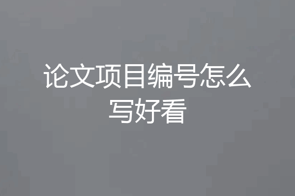 论文项目编号怎么写好看
