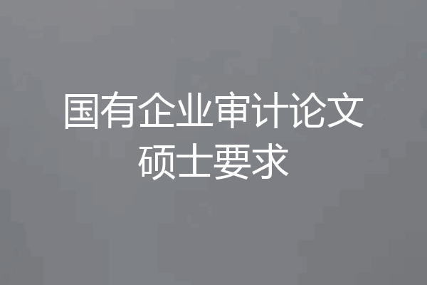国有企业审计论文硕士要求