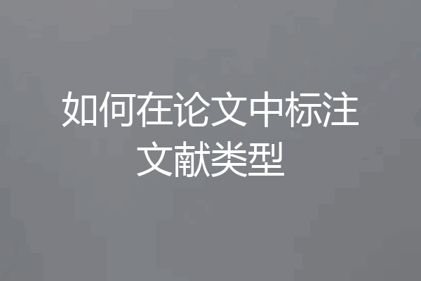 如何在论文中标注文献类型