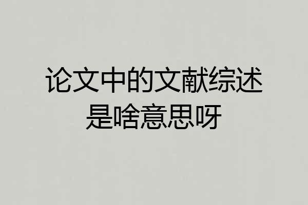 论文中的文献综述是啥意思呀