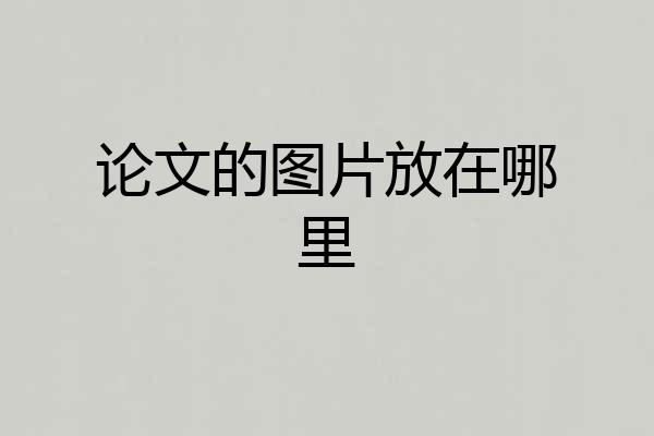 论文的图片放在哪里