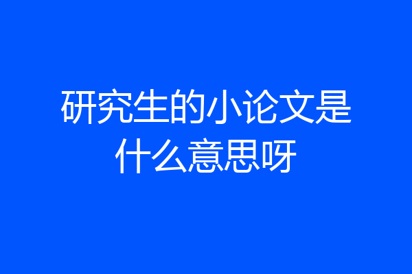 研究生的小论文是什么意思呀