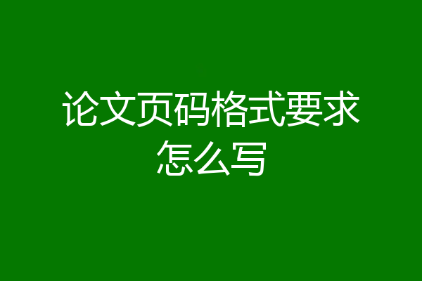 论文页码格式要求怎么写