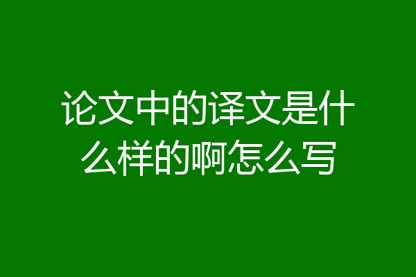 论文中的译文是什么样的啊怎么写