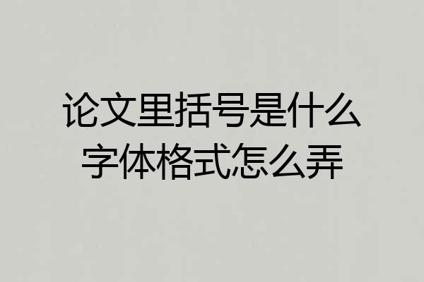 论文里括号是什么字体格式怎么弄