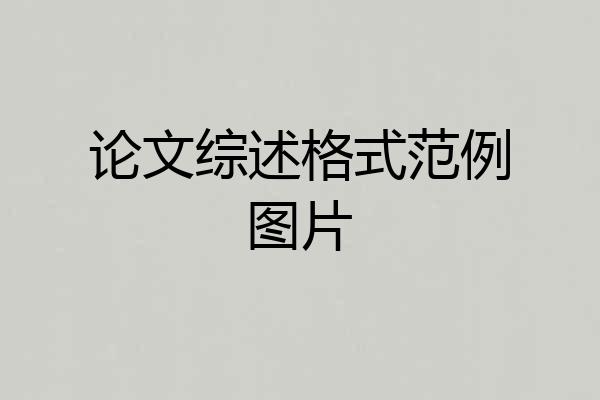 论文综述格式范例图片