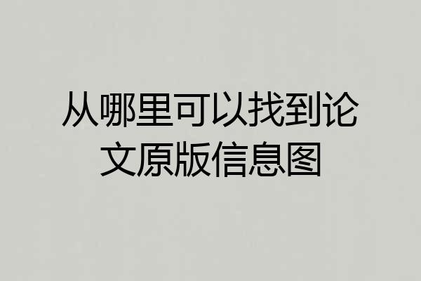 从哪里可以找到论文原版信息图