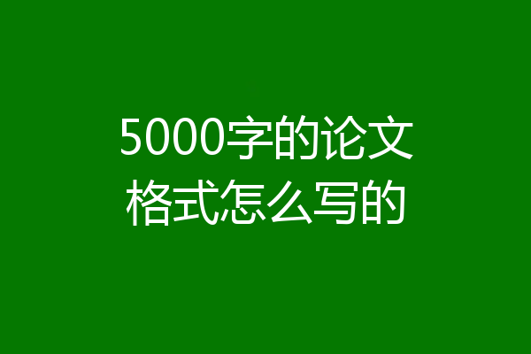 5000字的论文格式怎么写的