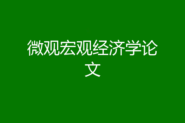 微观宏观经济学论文