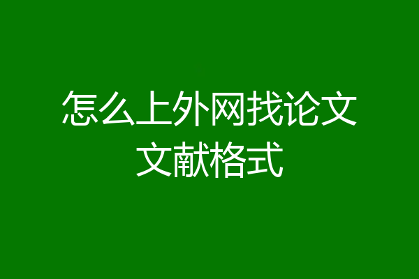 怎么上外网找论文文献格式