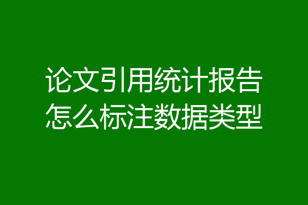 论文引用统计报告怎么标注数据类型