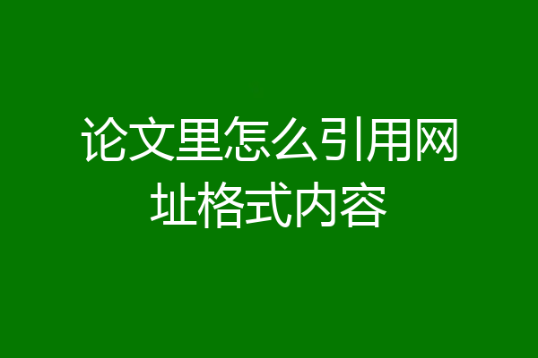 论文里怎么引用网址格式内容