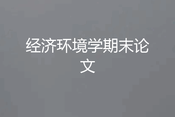经济环境学期末论文