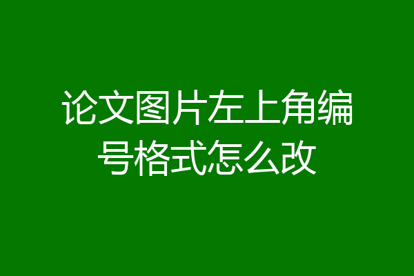 论文图片左上角编号格式怎么改