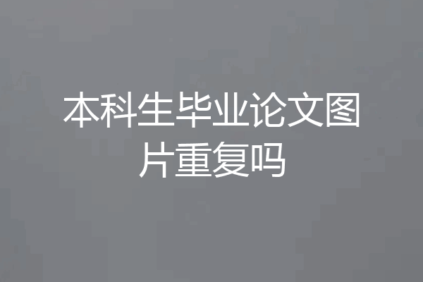本科生毕业论文图片重复吗