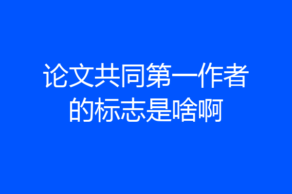 论文共同第一作者的标志是啥啊