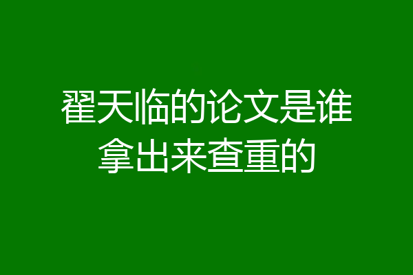 翟天临的论文是谁拿出来查重的
