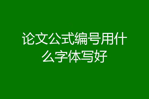 论文公式编号用什么字体写好