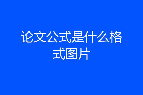 论文公式是什么格式图片