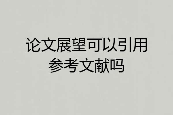 论文展望可以引用参考文献吗