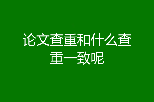 论文查重和什么查重一致呢