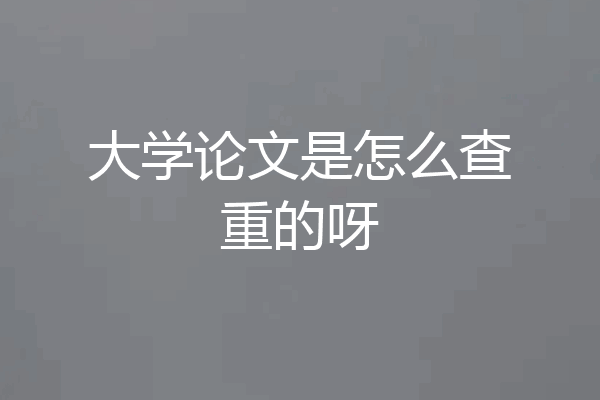 大学论文是怎么查重的呀