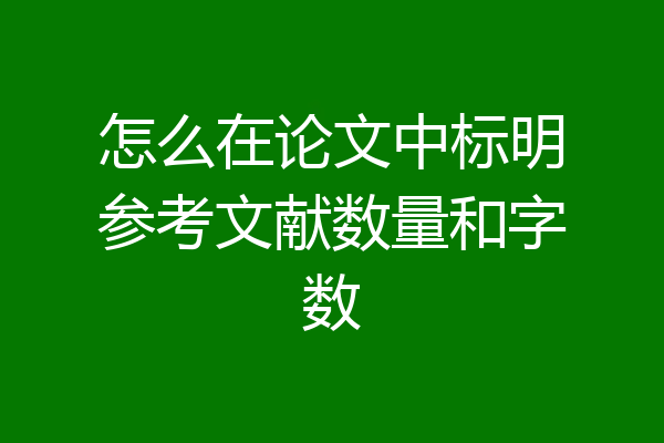 怎么在论文中标明参考文献数量和字数