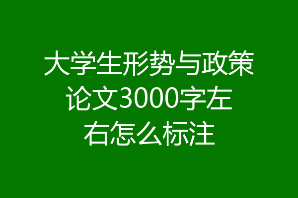 大学生形势与政策论文3000字左右怎么标注