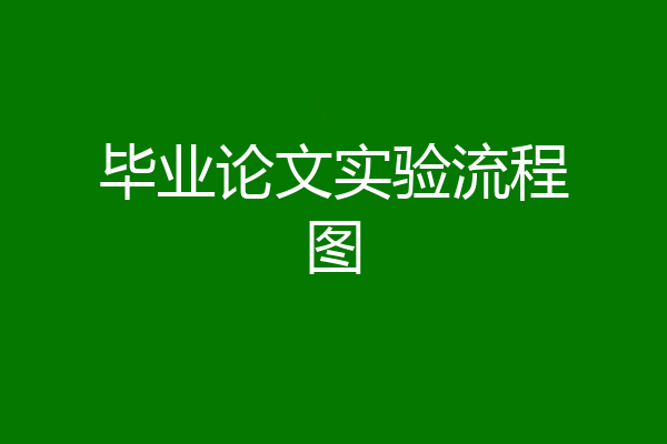毕业论文实验流程图