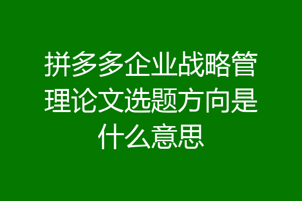 拼多多企业战略管理论文选题方向是什么意思