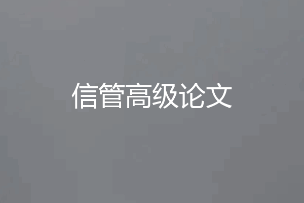 信管高级论文